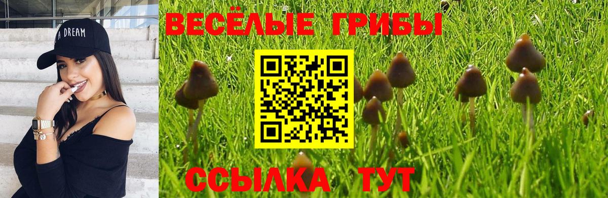 Строитель  Галлюциногенные грибы Magic Shrooms  Вход с VPN 